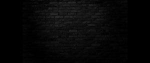 Bricks